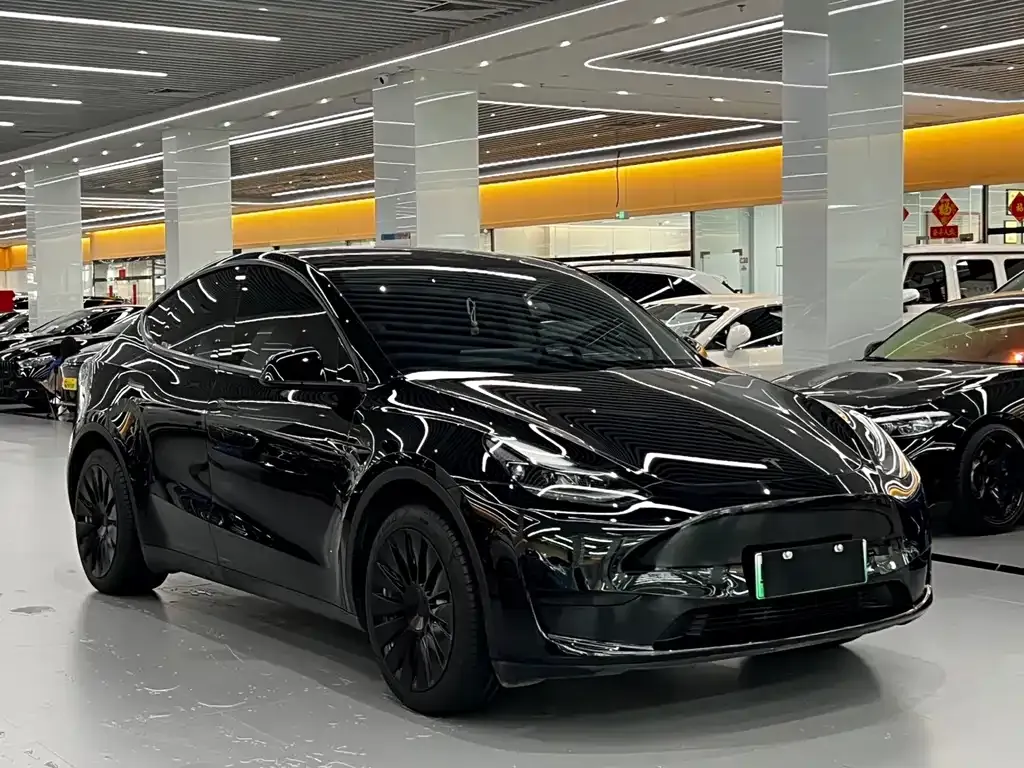 Tesla Model Y — фото 8
