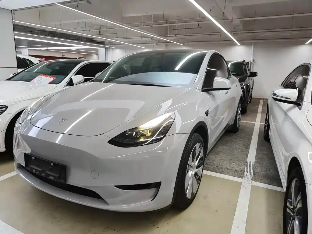Tesla Model Y — фото 1