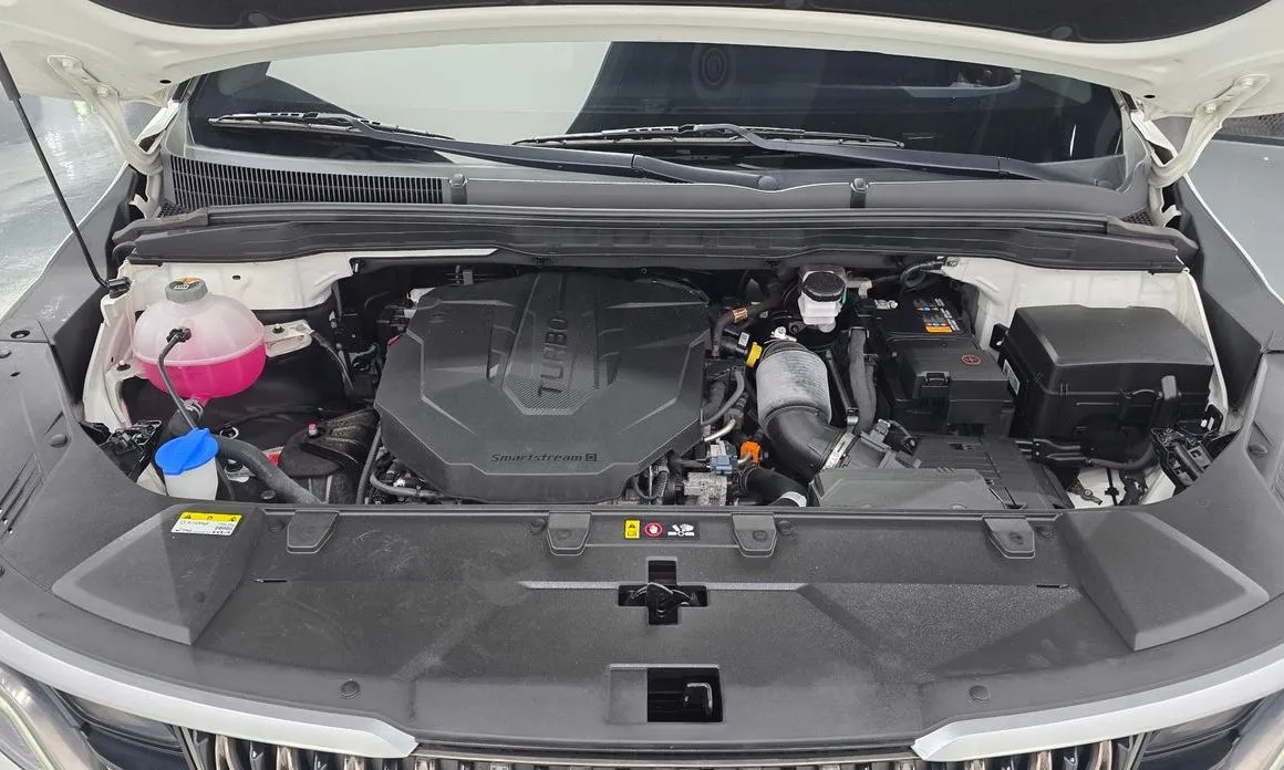 Kia Carnival — фото 10