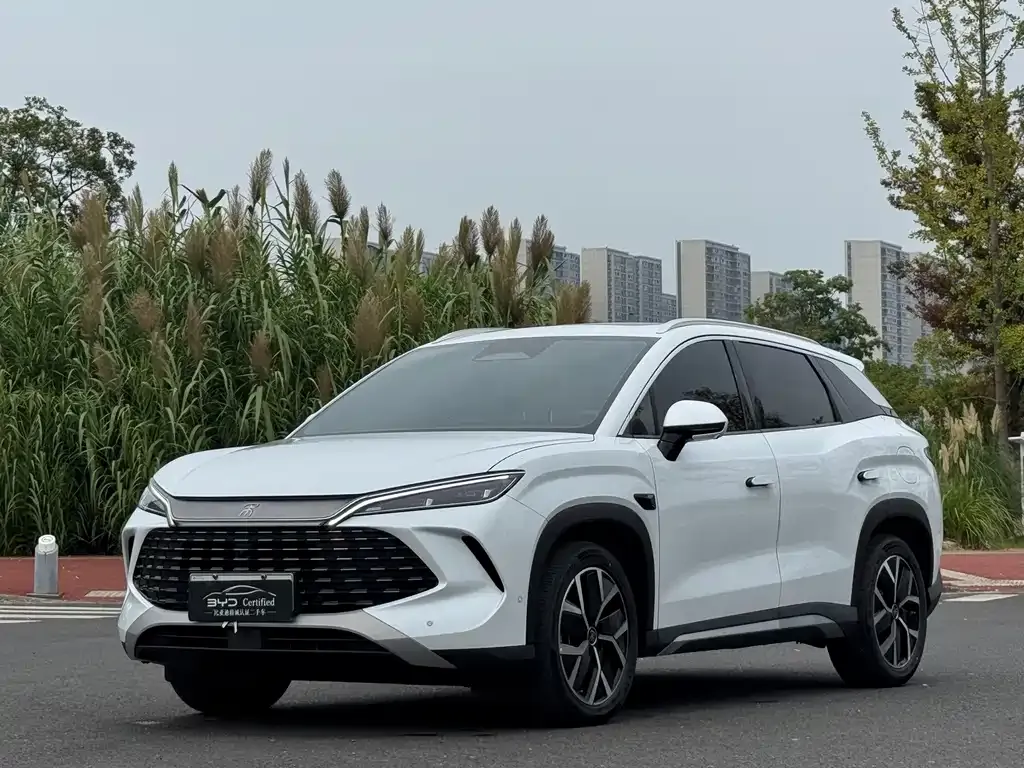 BYD L DM-i — фото 1