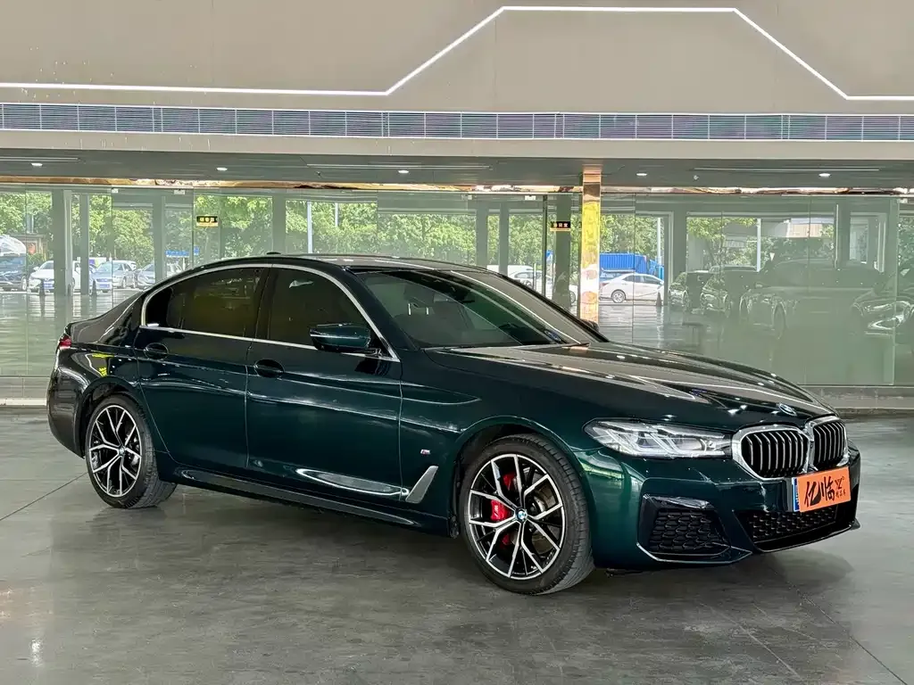 BMW 5 Series (Import) — фото 9