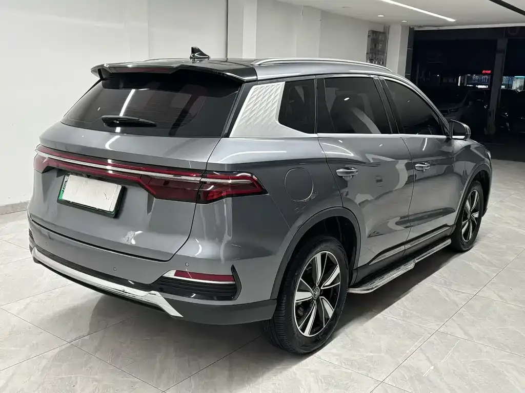 BYD Pro New Energy — фото 8