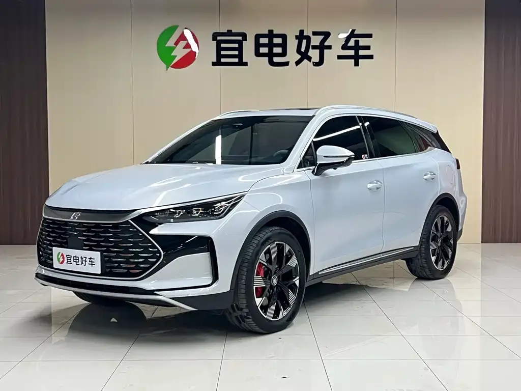 BYD Tang New Energy — фото 1