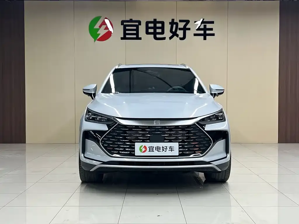 BYD Tang New Energy — фото 8