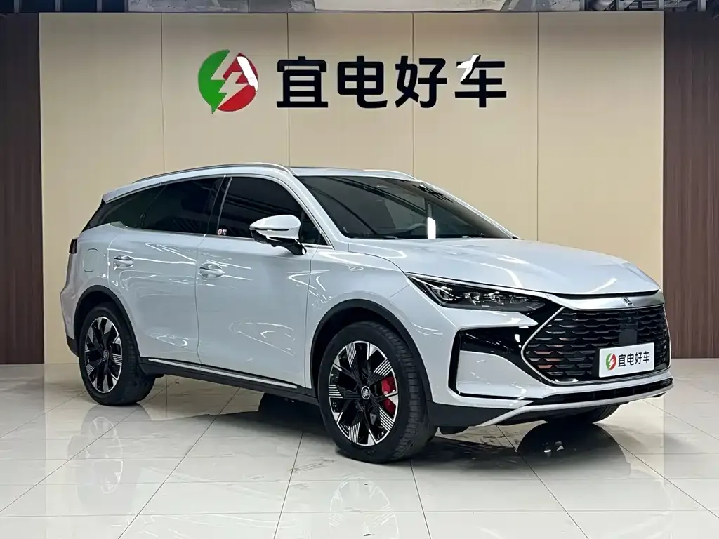BYD Tang New Energy — фото 10