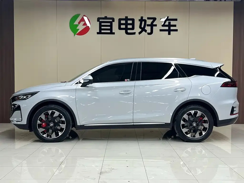 BYD Tang New Energy — фото 5