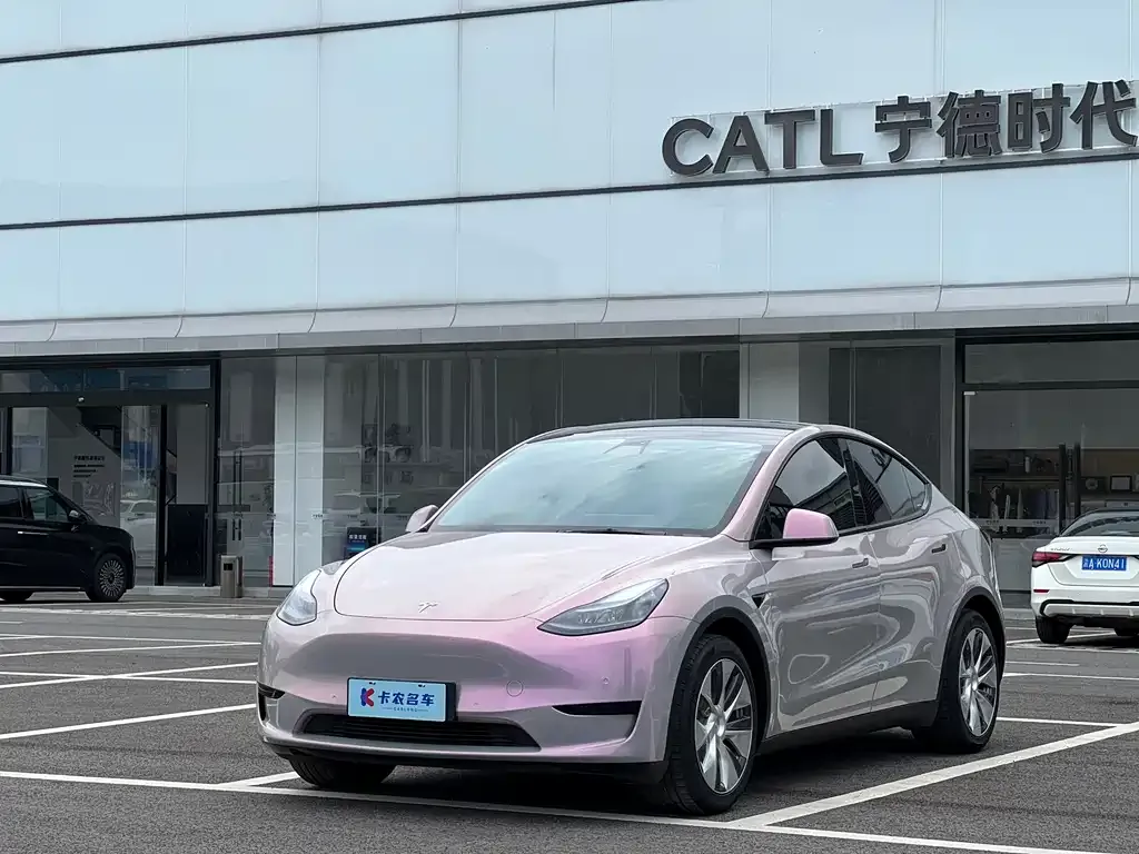 Tesla Model Y — фото 3