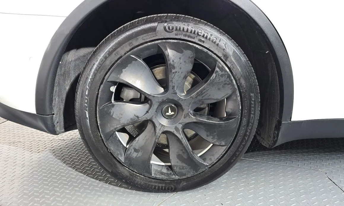 Tesla Model Y — фото 10