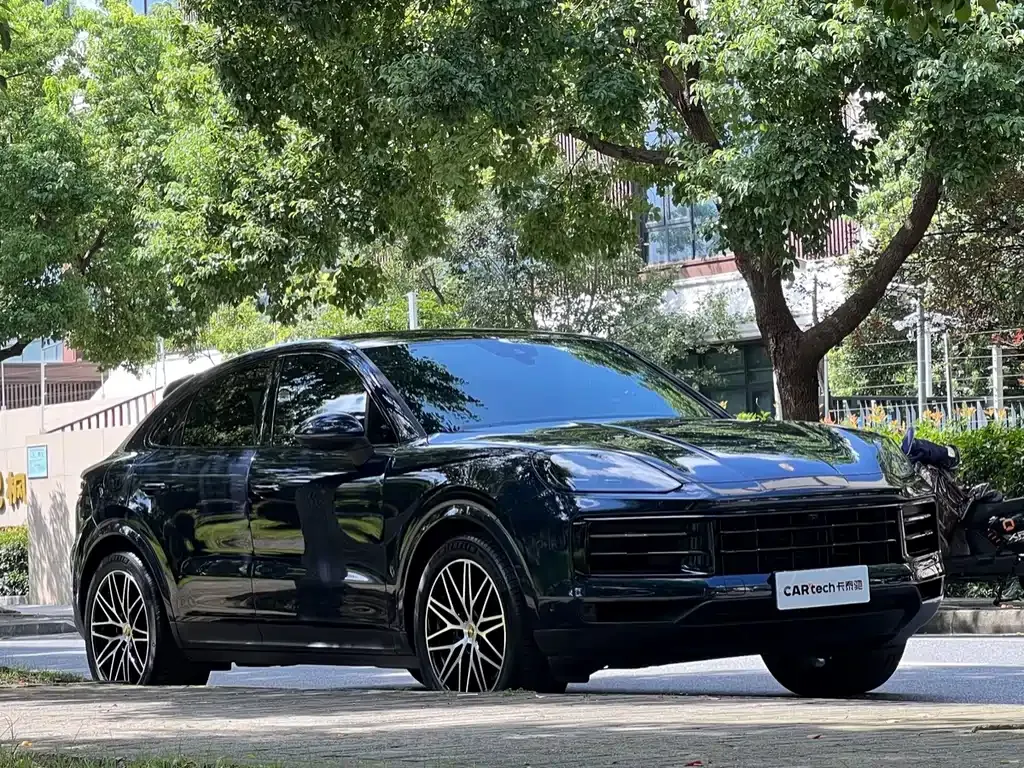 Porsche Cayenne — фото 10