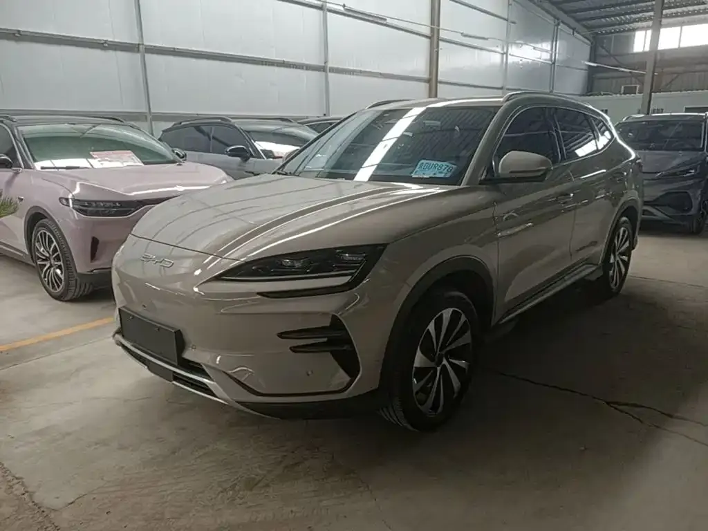 BYD PLUS New Energy — фото 1