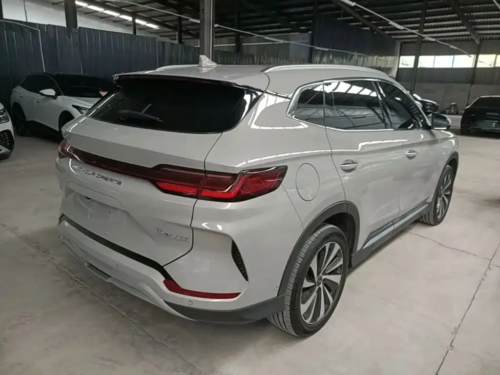 BYD PLUS New Energy — фото 8