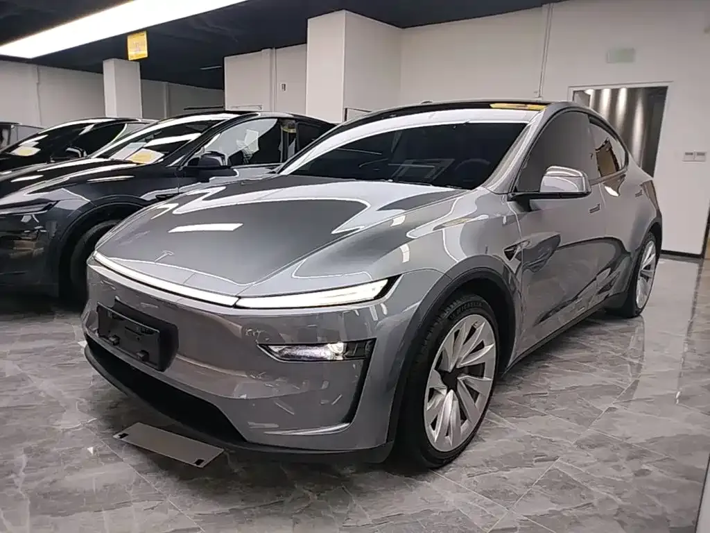 Tesla Model Y — фото 6