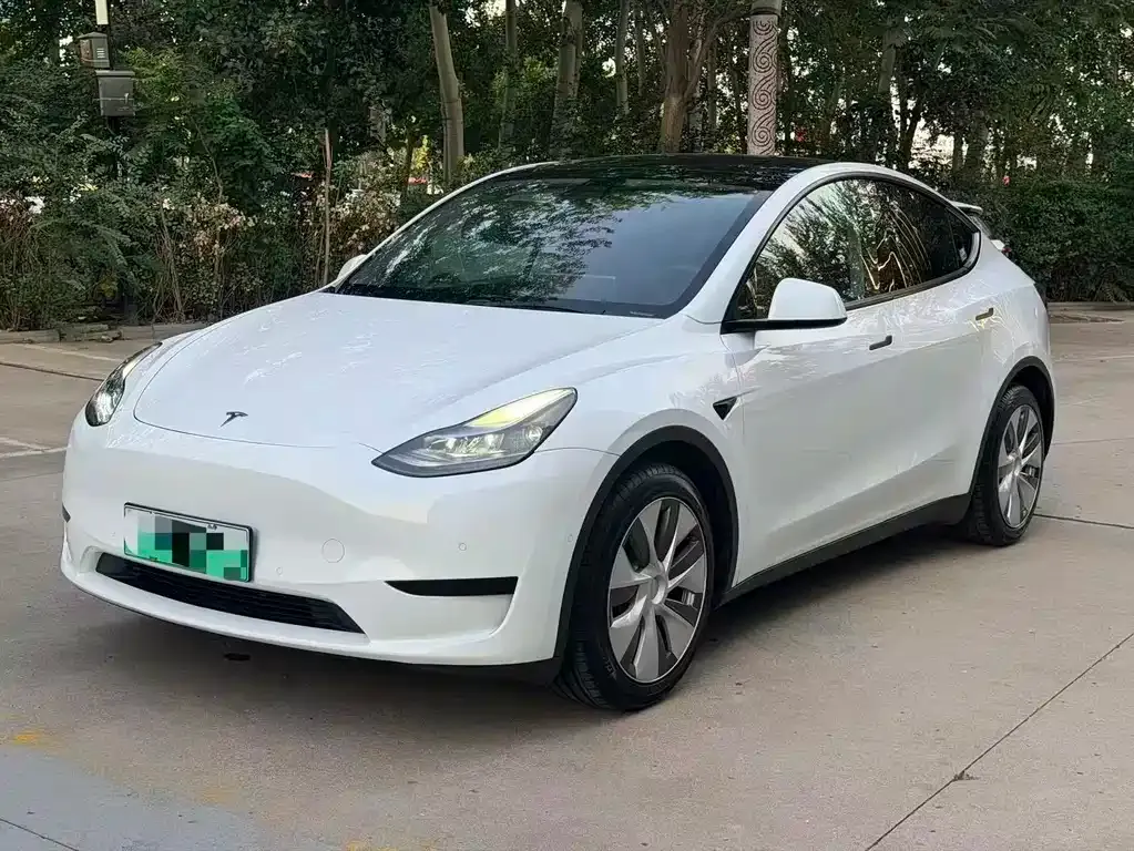 Tesla Model Y — фото 1