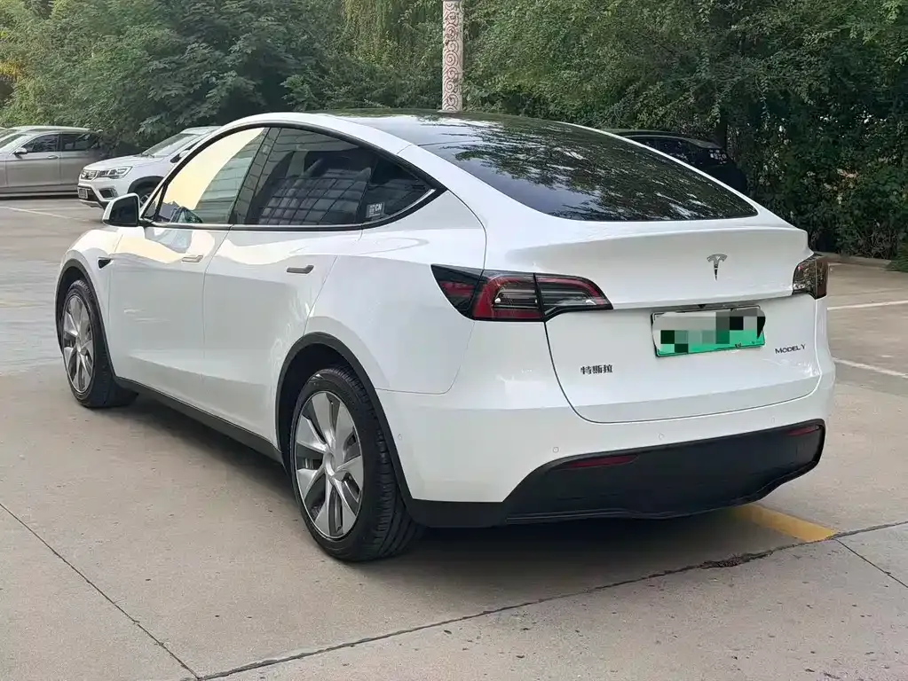 Tesla Model Y — фото 8