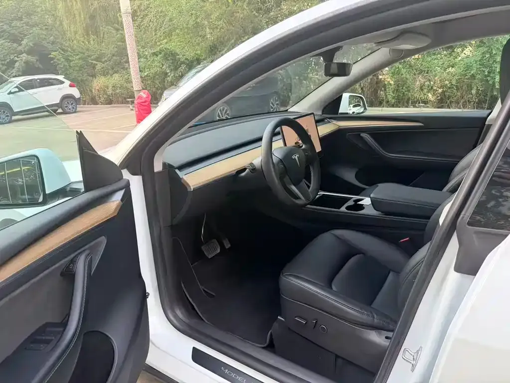 Tesla Model Y — фото 6