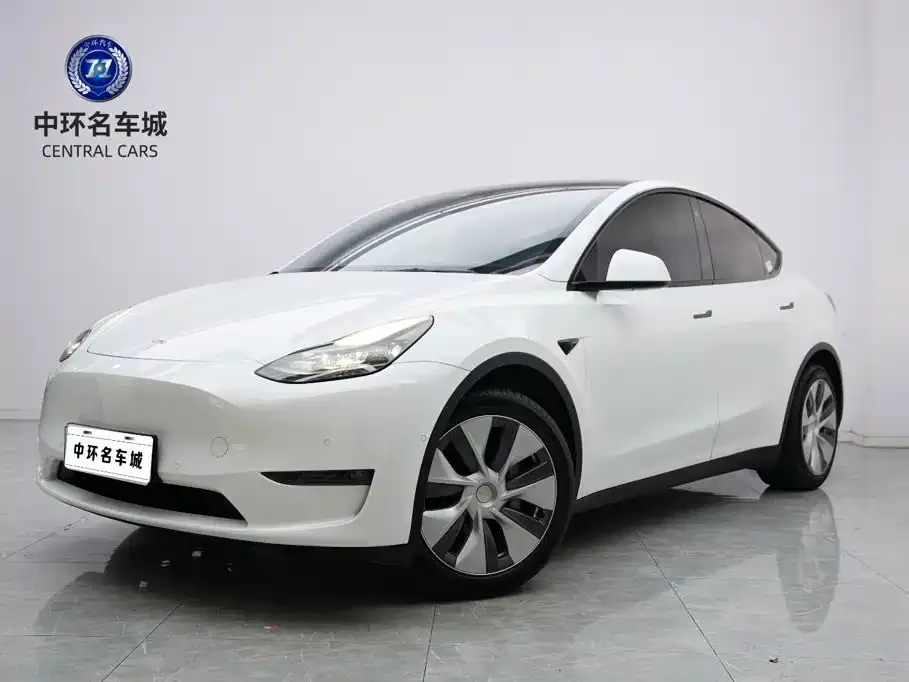 Tesla Model Y — фото 1