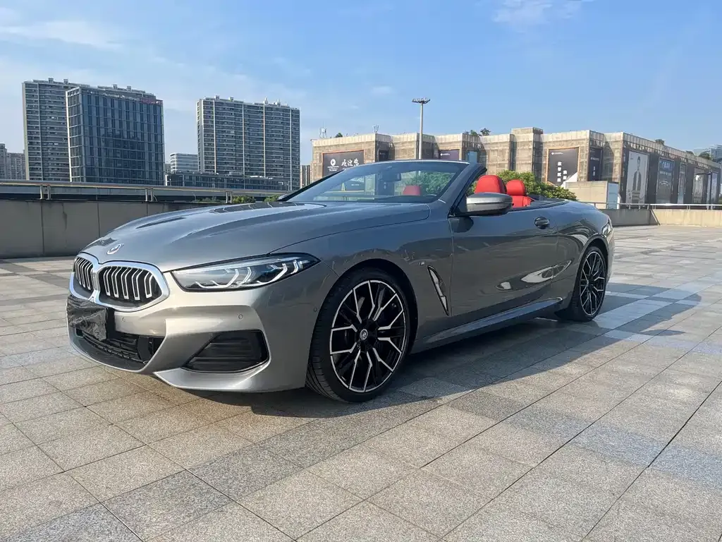 BMW 8 Series — фото 8