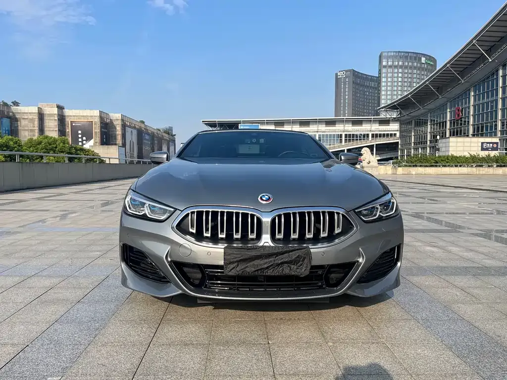 BMW 8 Series — фото 10