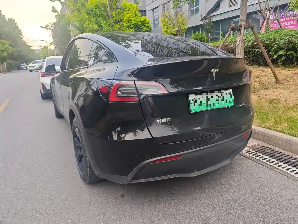 Tesla Model Y — фото 9