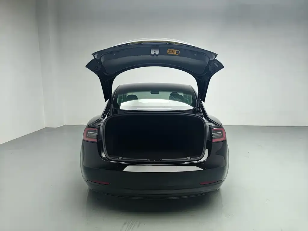 Tesla Model 3 — фото 3