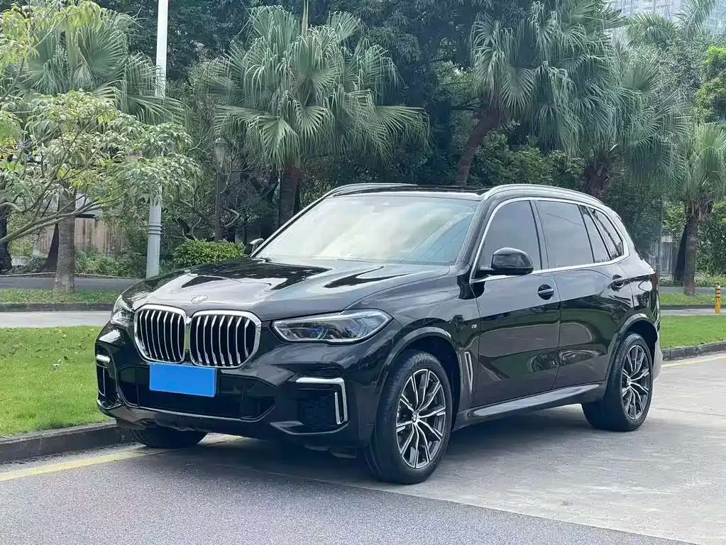 BMW X5 — фото 1