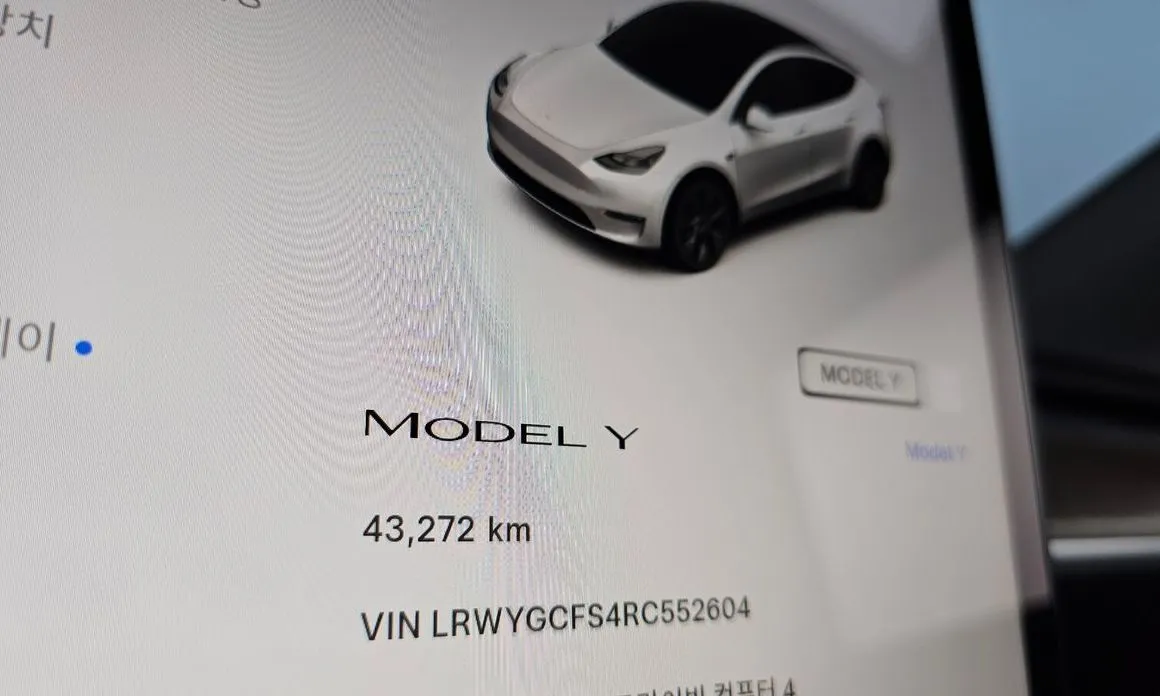 Tesla Model Y — фото 8