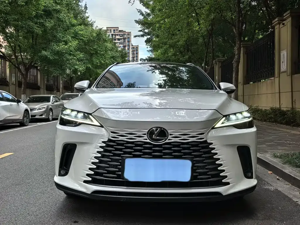 Lexus RX New Energy — фото 6
