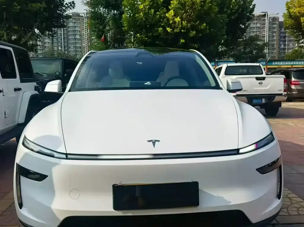 Tesla Model Y — фото 6