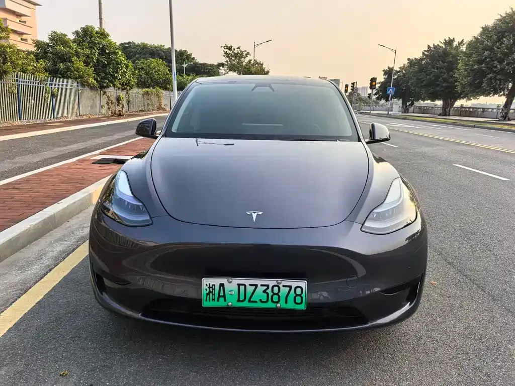 Tesla Model Y — фото 4