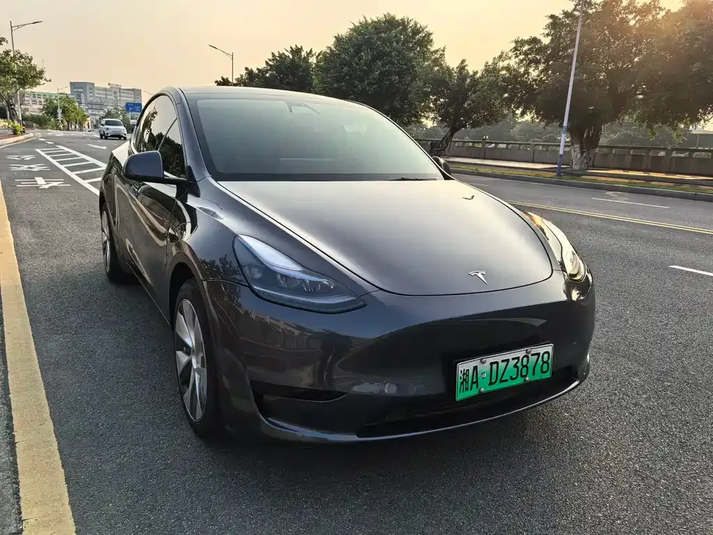 Tesla Model Y — фото 6