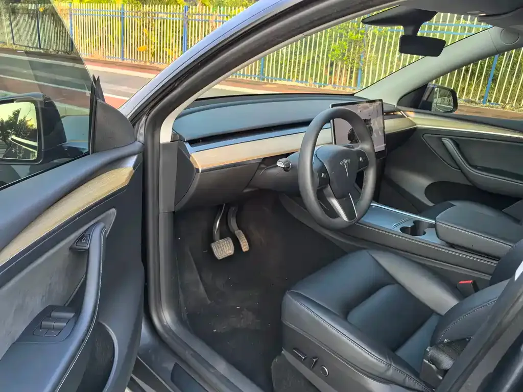 Tesla Model Y — фото 2