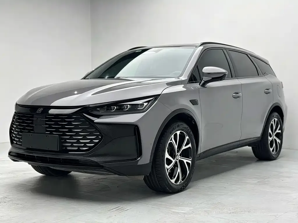 BYD Tang New Energy — фото 10