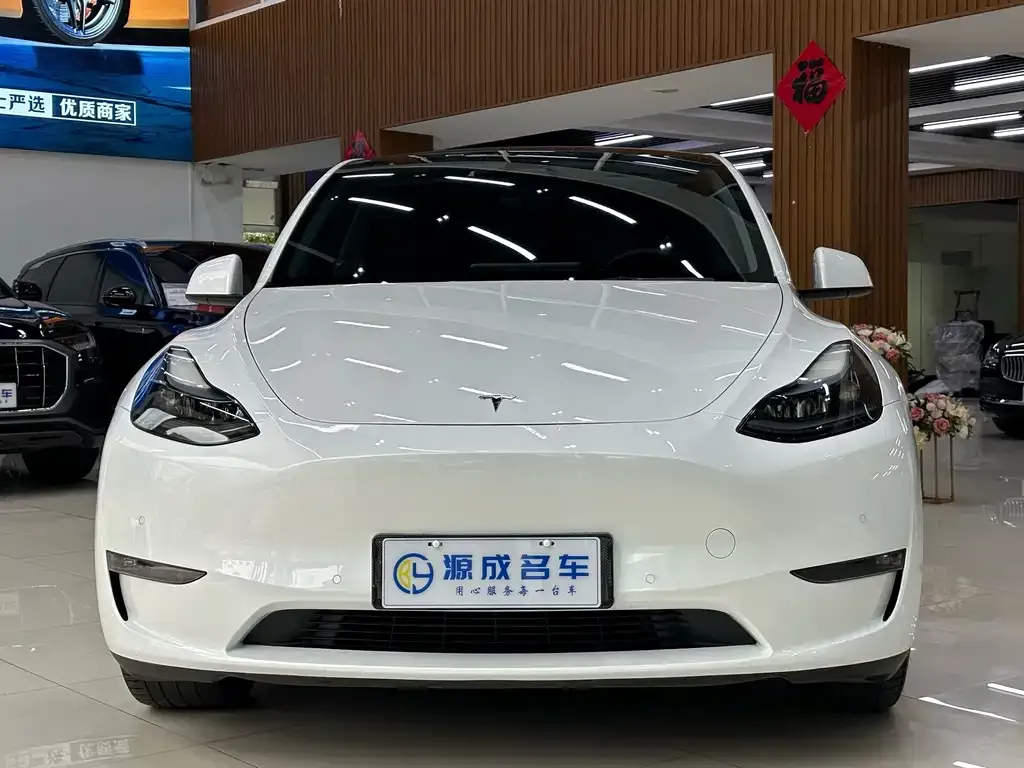 Tesla Model Y — фото 2