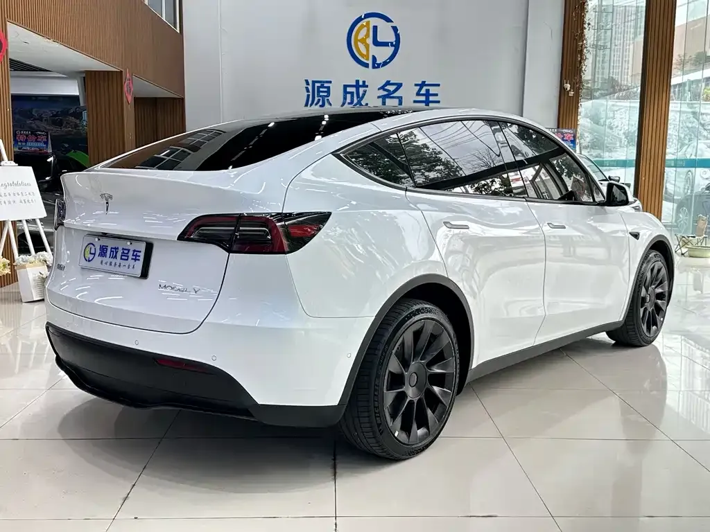 Tesla Model Y — фото 9