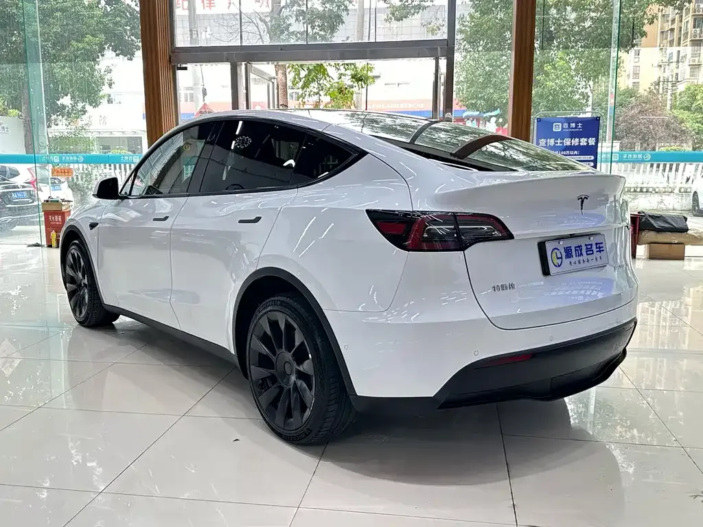 Tesla Model Y — фото 10