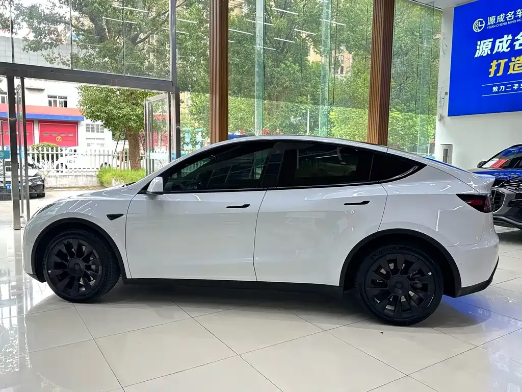 Tesla Model Y — фото 4
