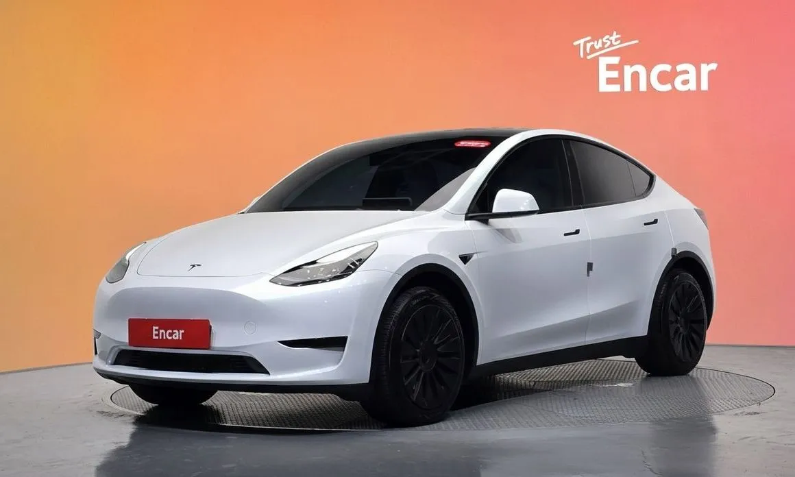 Tesla Model Y — фото 1