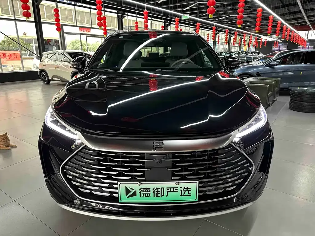 BYD Tang New Energy — фото 3