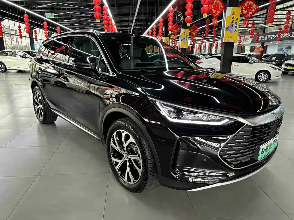 BYD Tang New Energy — фото 9