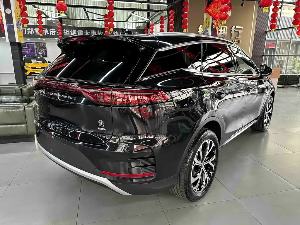 BYD Tang New Energy — фото 6