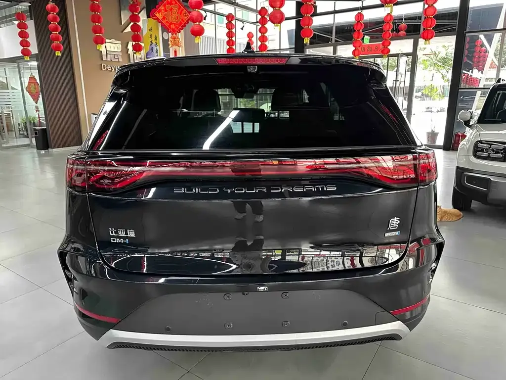 BYD Tang New Energy — фото 10
