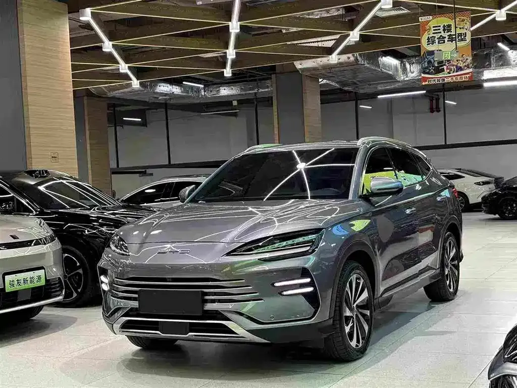 BYD PLUS New Energy — фото 1