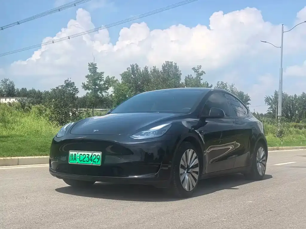 Tesla Model Y — фото 1