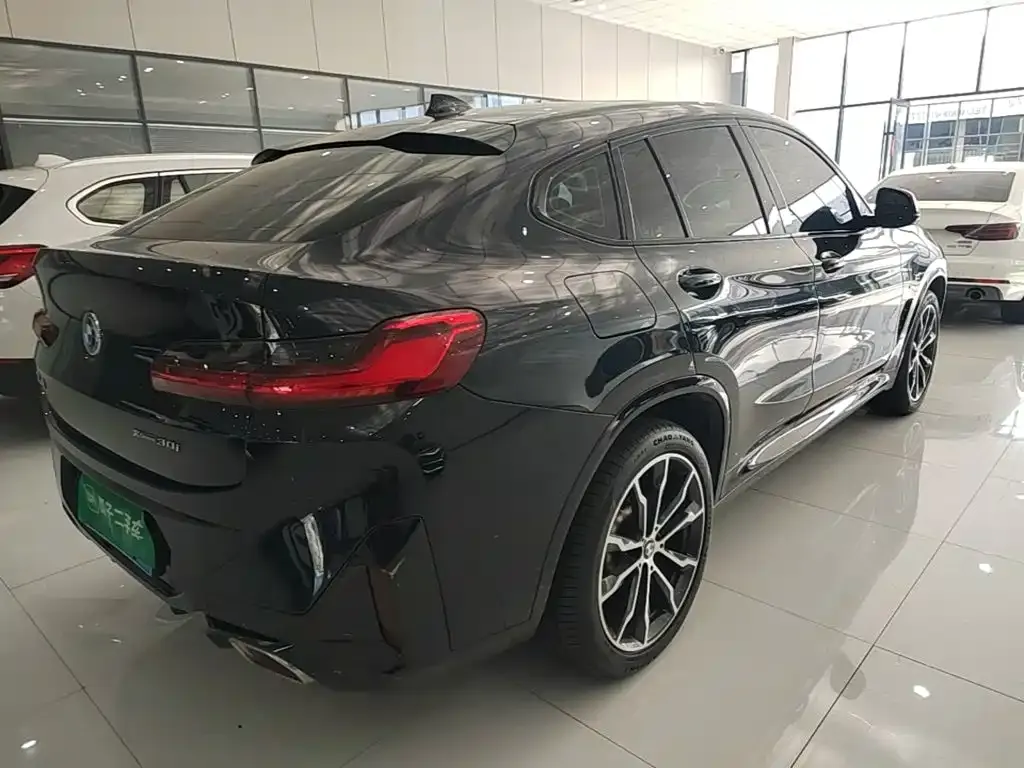 BMW X4 — фото 8