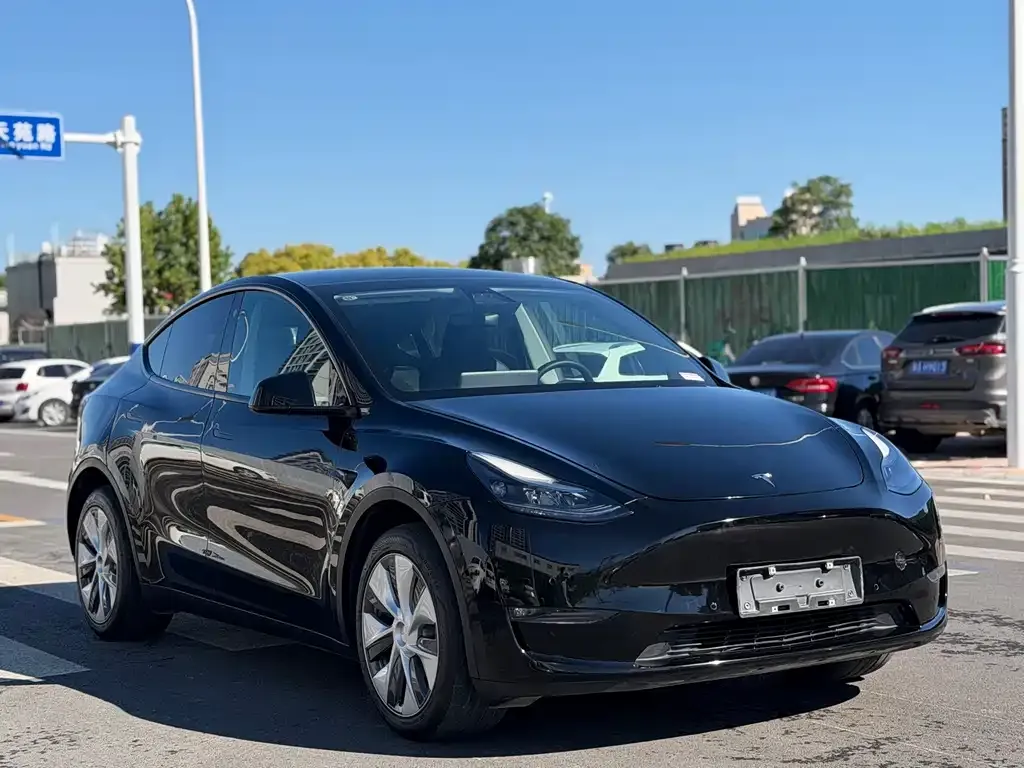Tesla Model Y — фото 9