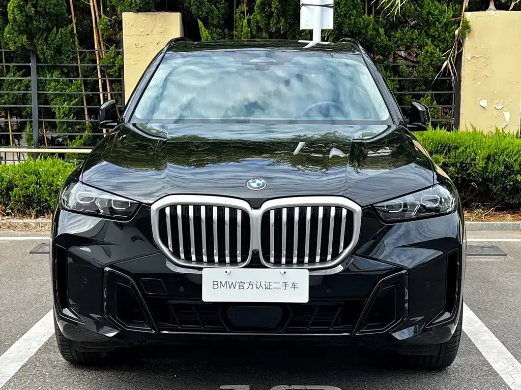 BMW X5 — фото 10