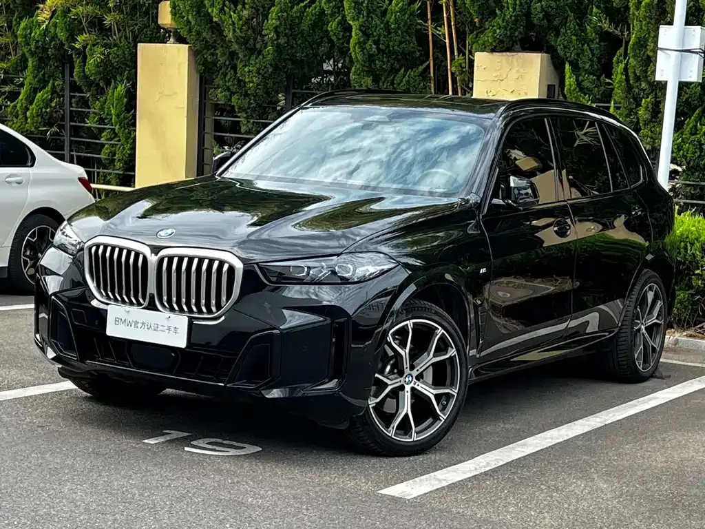 BMW X5 — фото 9
