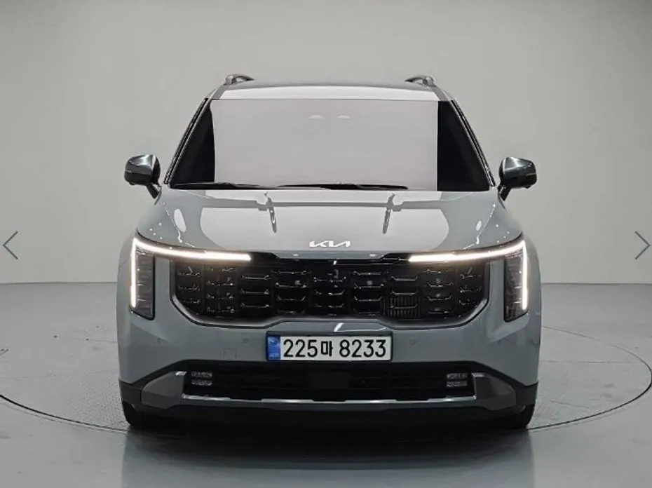 Kia Carnival — фото 10