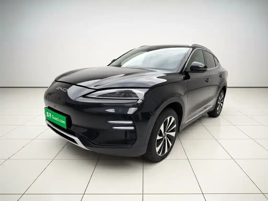 BYD PLUS New Energy — фото 1