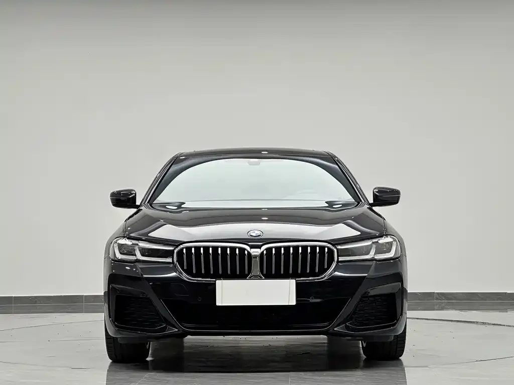 BMW 5 Series — фото 4
